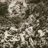 JOYLESS - Unlimited Hate Digi-CD