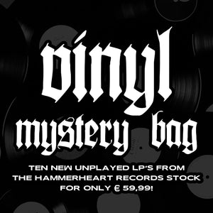 VARIOUS - LP Mystery Bag 10xLP